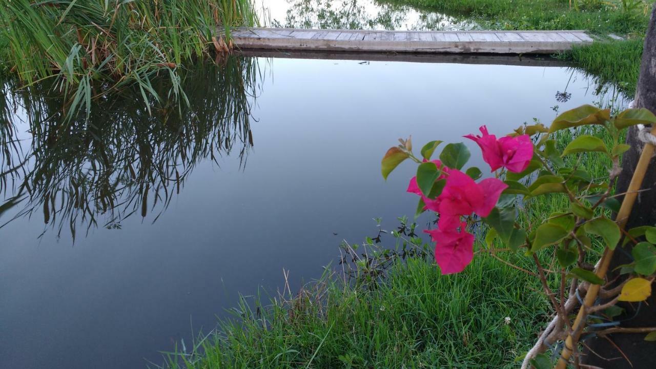 El Tramway Casa Antigua De Campo Bed & Breakfast San Antonio de Areco Exterior photo
